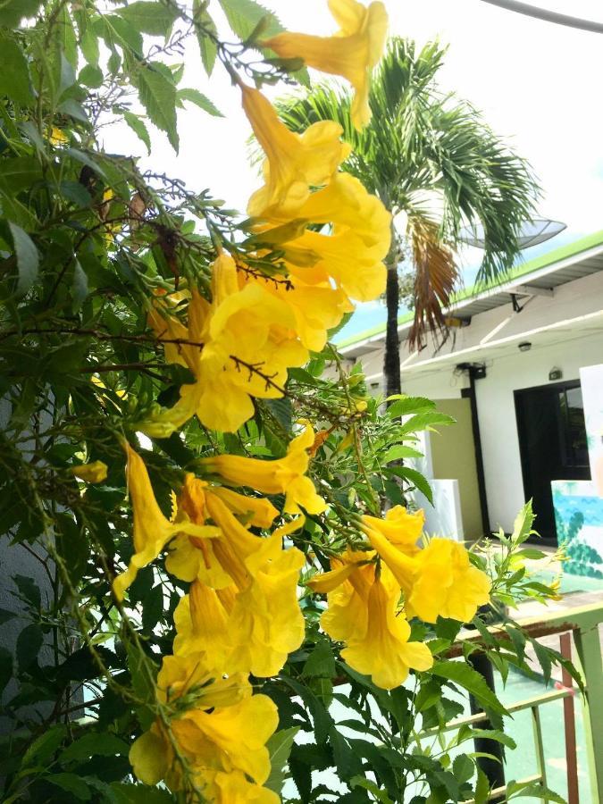 Rawai Whale Resort Экстерьер фото